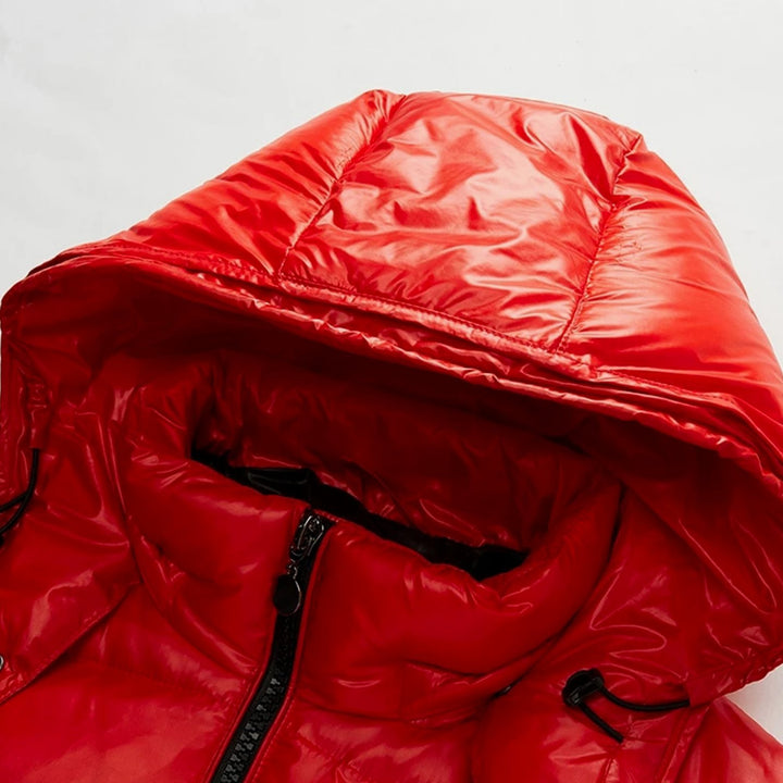 Men's Hooded Puffer Quilted Jacket Full-Zip Insulated