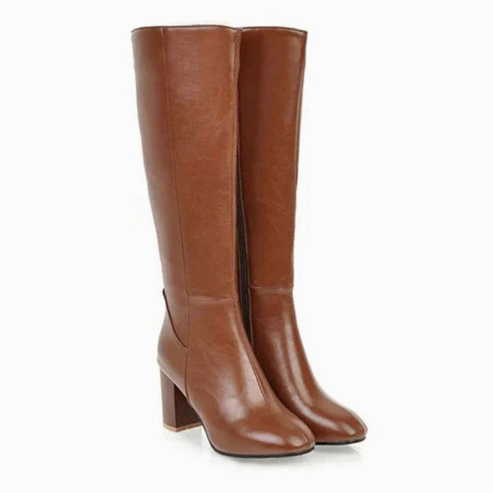 Women's Knee-High Block Heeled Boots Zip-Up Tall Shaft - Brown